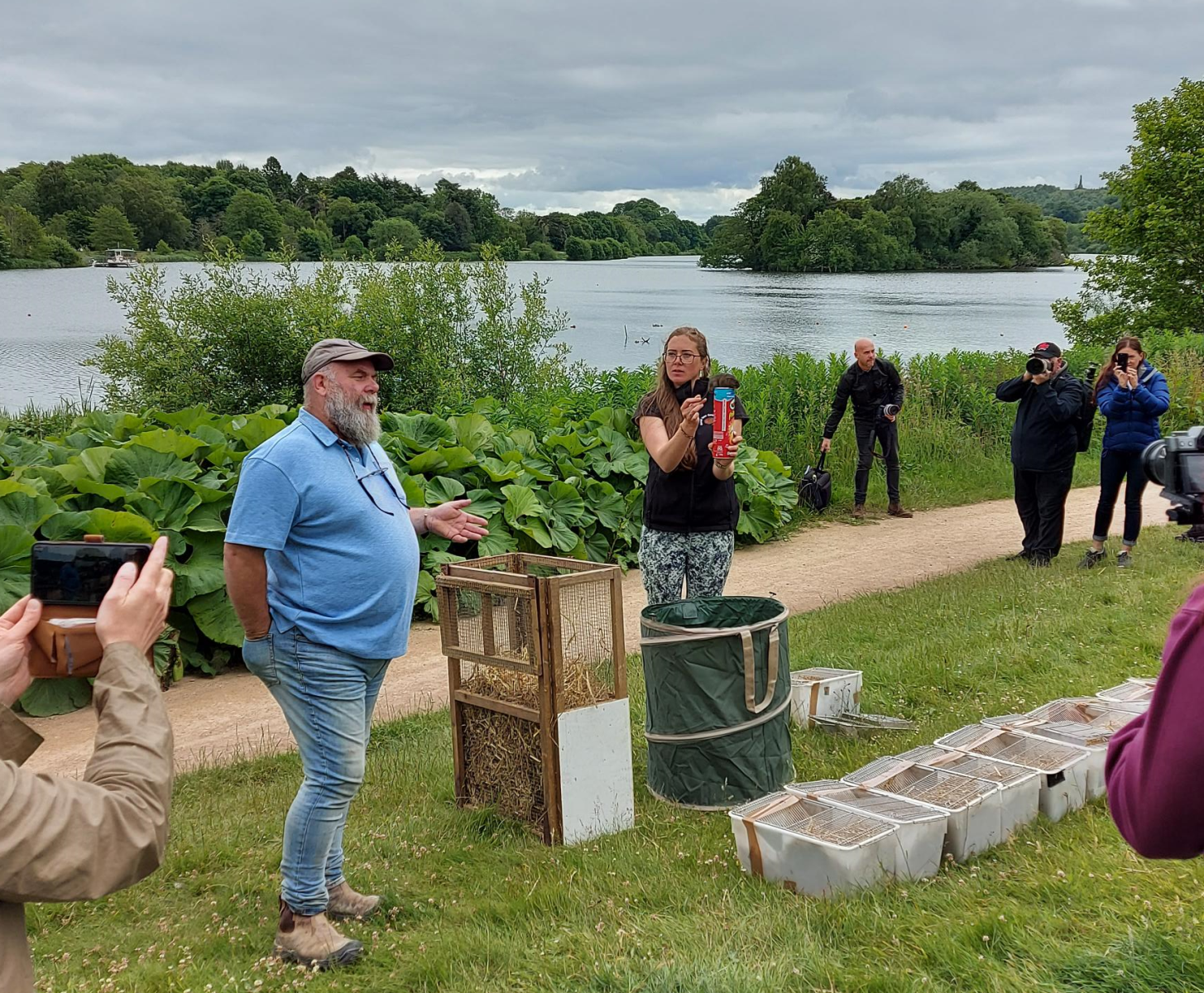 Water voles released at Trentham